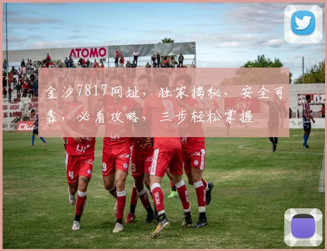 金沙7817网址，独家揭秘，安全可靠，必看攻略，三步轻松掌握