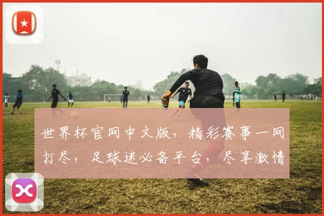 世界杯官网中文版，精彩赛事一网打尽，足球迷必备平台，尽享激情盛宴